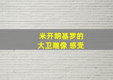 米开朗基罗的大卫雕像 感受